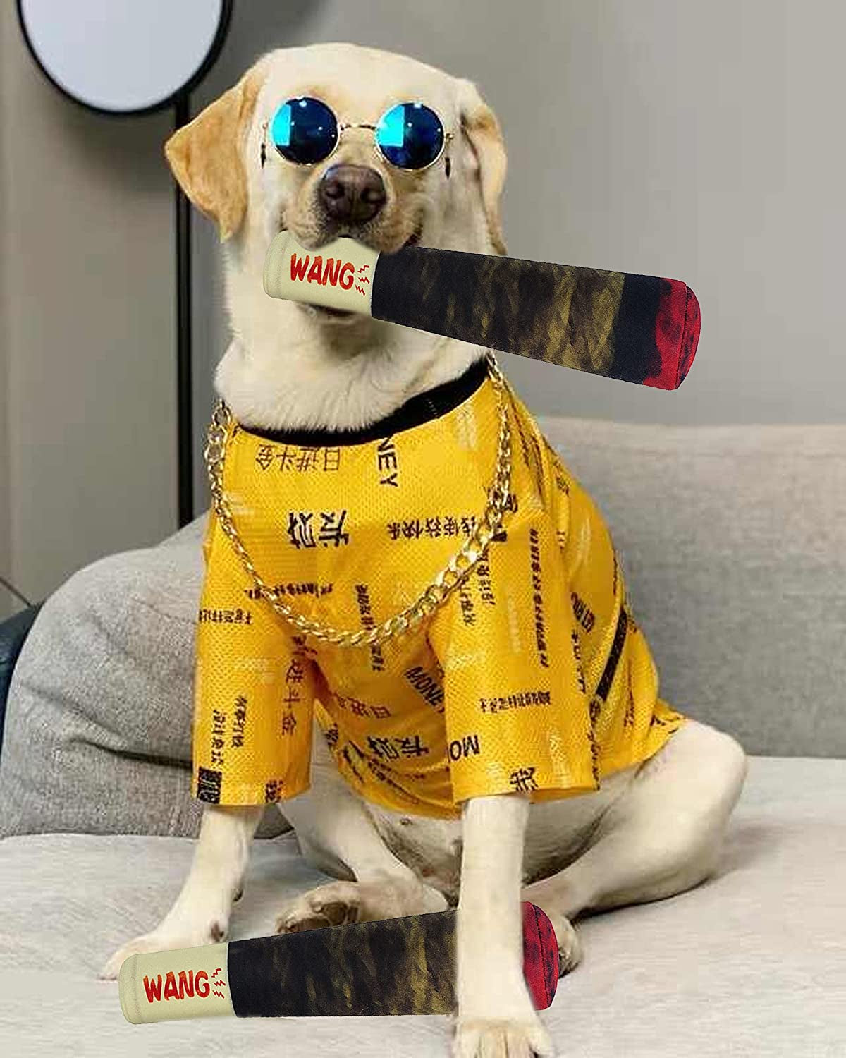 Funny Dog Toys, Cute Plush Squeaky Dog Toys, Cool Birthday Dog Gifts, Stuffed Dog Toys for Medium, Small and Large Dogs Puppy, Dog Chew Toy